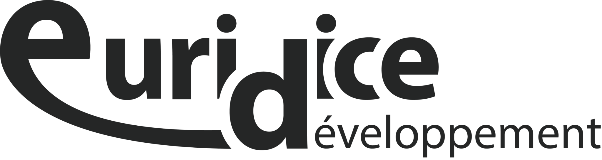 logo-euridice-developpement